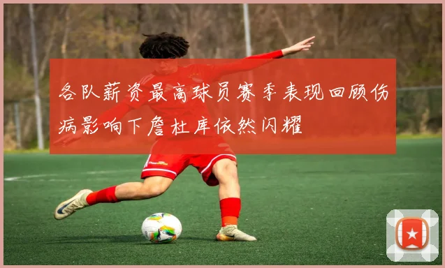 各队薪资最高球员赛季表现回顾伤病影响下詹杜库依然闪耀
